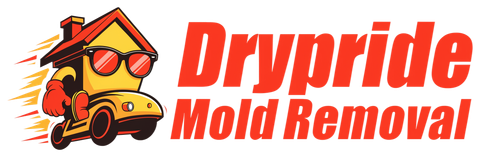 Drypride Mold Removal